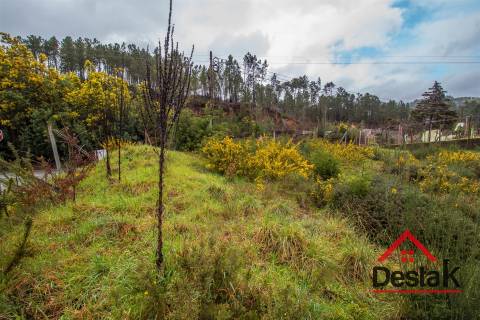 Terreno Rústico em São Pedro do Sul