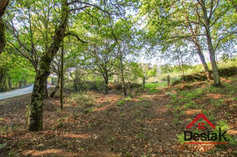 Terreno agrícola para venda em Viseu