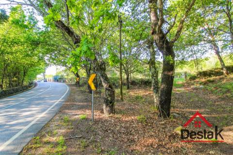 Terreno agrícola para venda em Viseu