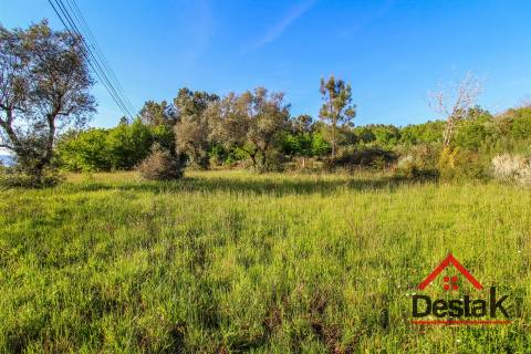 Terreno agrícola para venda em Viseu