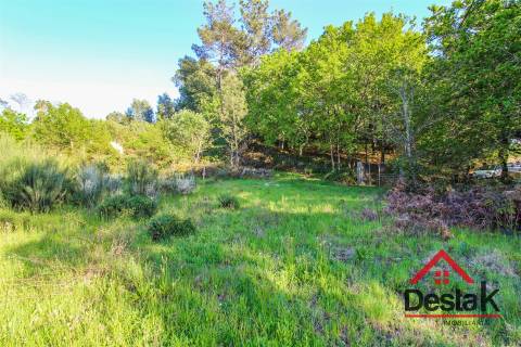 Terreno agrícola para venda em Viseu