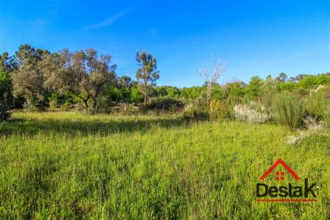 Terreno agrícola para venda em Viseu