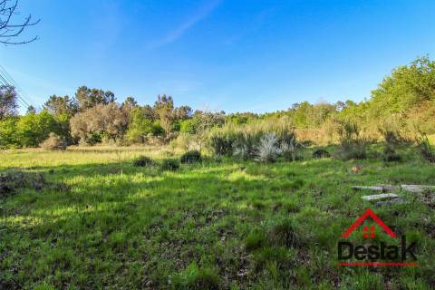 Terreno agrícola para venda em Viseu