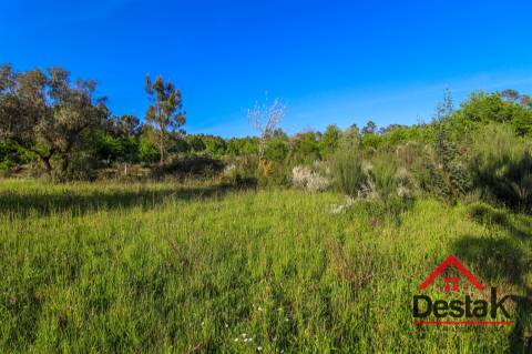 Terreno agrícola para venda em Viseu