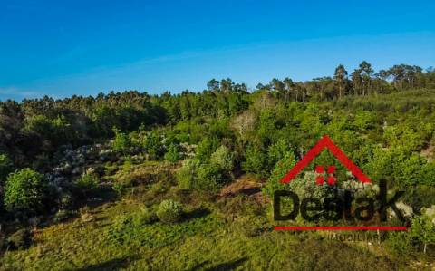 Terreno agrícola para venda em Viseu