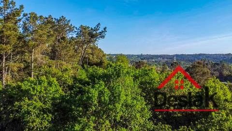 Terreno agrícola para venda em Viseu