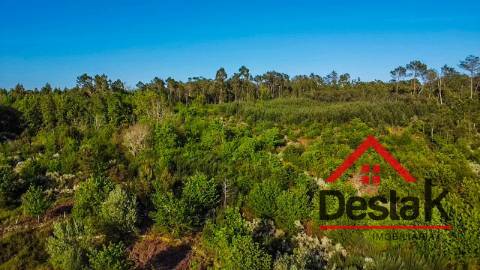 Terreno agrícola para venda em Viseu