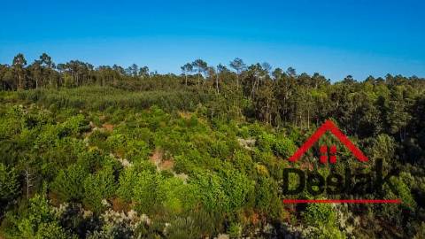Terreno agrícola para venda em Viseu