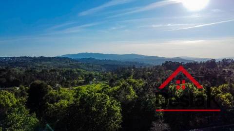 Terreno agrícola para venda em Viseu