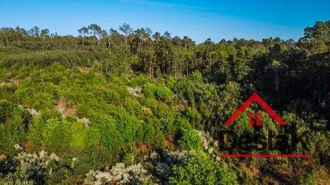 Terreno agrícola para venda em Viseu