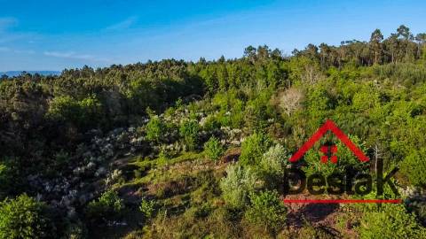 Terreno agrícola para venda em Viseu