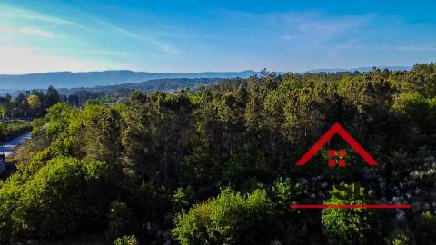 Terreno agrícola para venda em Viseu