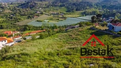 Lote de terreno em Lamego