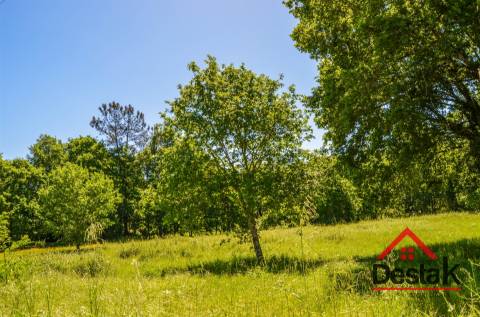 Terreno para contrução com 10.280m² em Várzea, São Pedro do Sul, para venda
