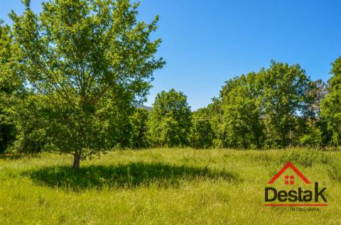Terreno para contrução com 10.280m² em Várzea, São Pedro do Sul, para venda