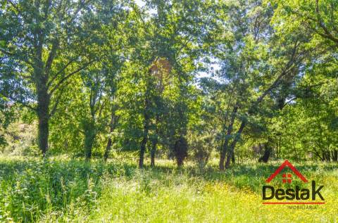 Terreno para contrução com 10.280m² em Várzea, São Pedro do Sul, para venda