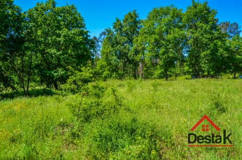 Terreno para contrução com 10.280m² em Várzea, São Pedro do Sul, para venda