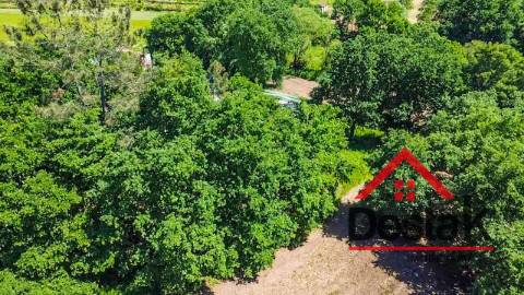 Terreno para contrução com 10.280m² em Várzea, São Pedro do Sul, para venda