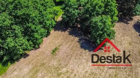 Terreno para contrução com 10.280m² em Várzea, São Pedro do Sul, para venda