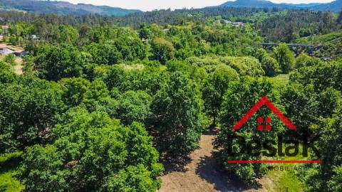 Terreno para contrução com 10.280m² em Várzea, São Pedro do Sul, para venda