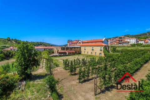 Quinta Histórica para venda em Tarouca