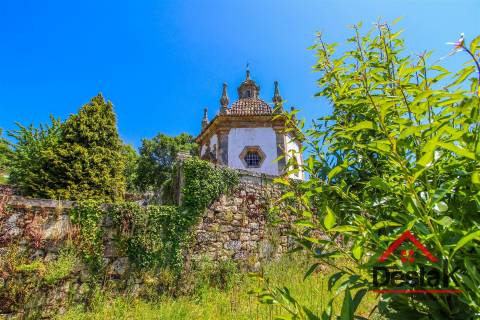 Quinta Histórica para venda em Tarouca