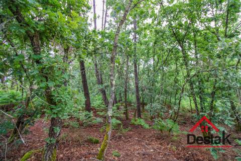 Terreno Rústico em Negrelos