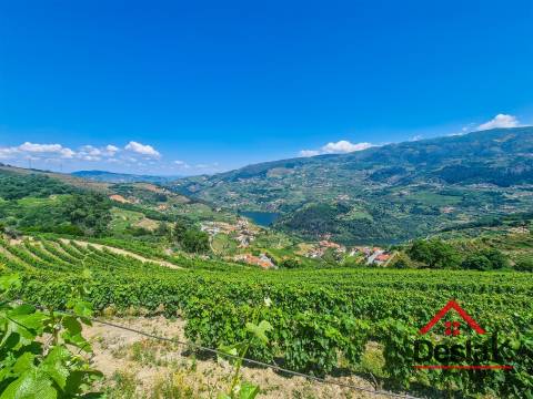Terreno com vistas para o Rio Douro em Barqueiros