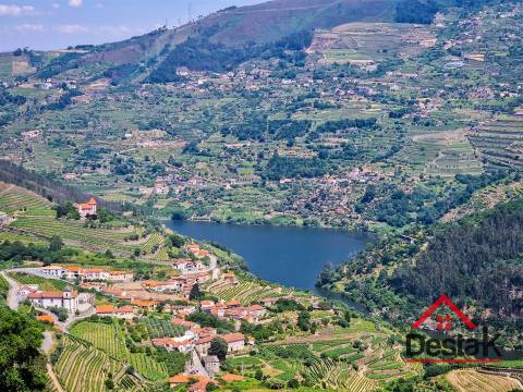Terreno com vistas para o Rio Douro em Barqueiros