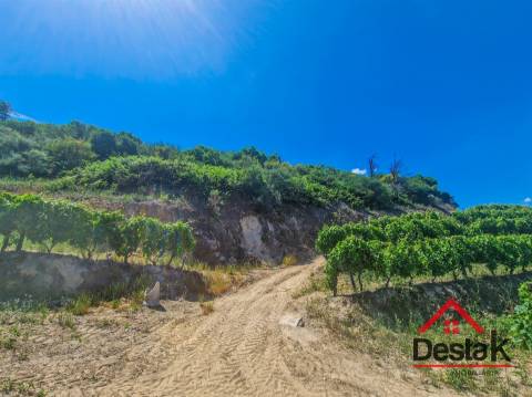 Terreno com vistas para o Rio Douro em Barqueiros