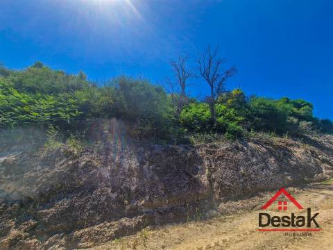 Terreno com vistas para o Rio Douro em Barqueiros