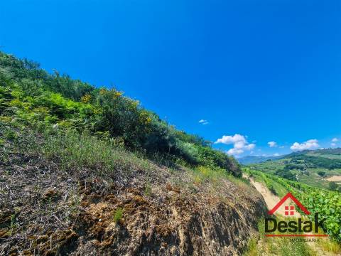 Terreno com vistas para o Rio Douro em Barqueiros