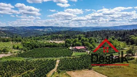 Terreno em Vila Chã da Beira