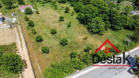 Terreno em Vila Chã da Beira