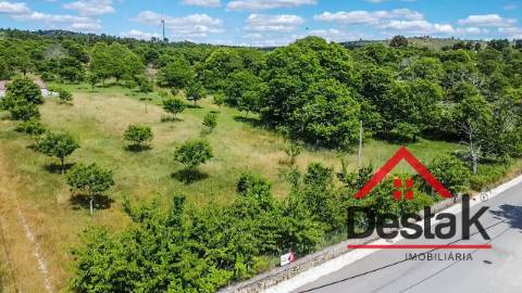 Terreno em Vila Chã da Beira