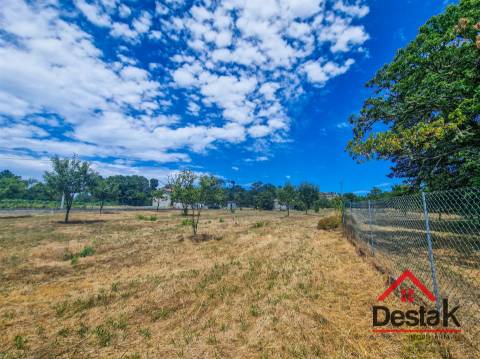 Terreno em Vila Chã da Beira