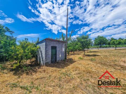 Terreno em Vila Chã da Beira