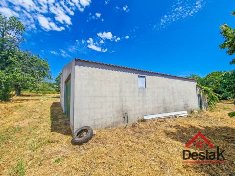 Terreno em Vila Chã da Beira