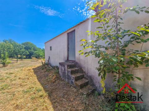 Terreno em Vila Chã da Beira