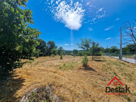 Terreno em Vila Chã da Beira
