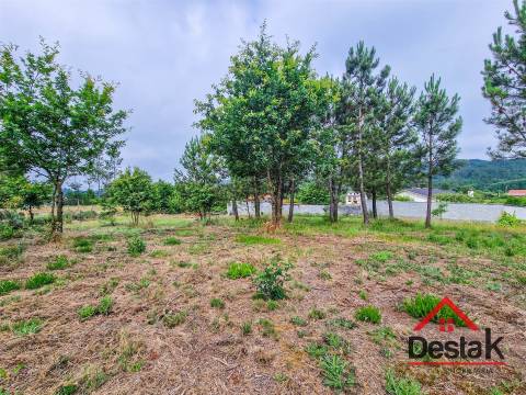 Terreno à venda em Carvalhal