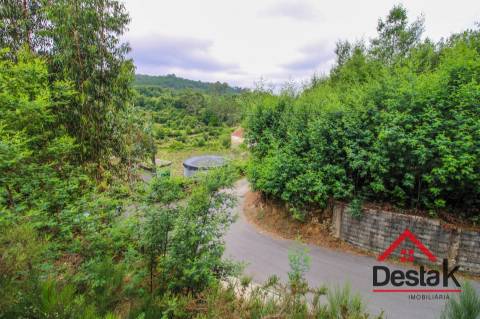 Terreno pinhal com mais de 11.000m²