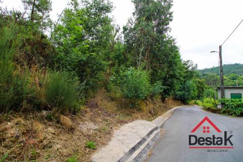 Terreno pinhal com mais de 11.000m²