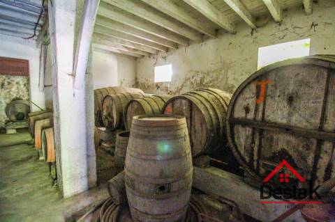 Quinta para venda em São Pedro do Sul