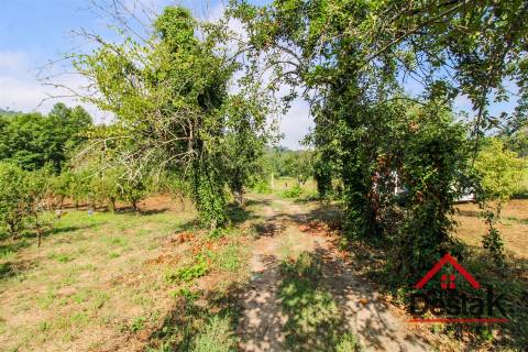 Pomar nas margens do Rio Sul, para venda