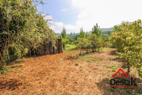 Pomar nas margens do Rio Sul, para venda