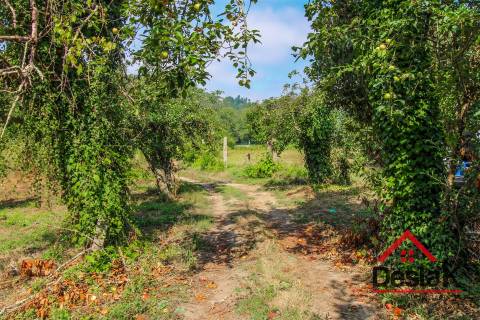 Pomar nas margens do Rio Sul, para venda