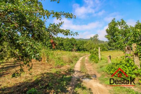Pomar nas margens do Rio Sul, para venda