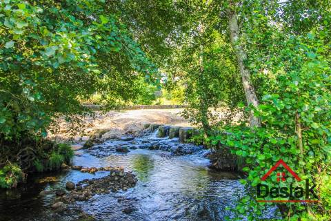 Pomar nas margens do Rio Sul, para venda
