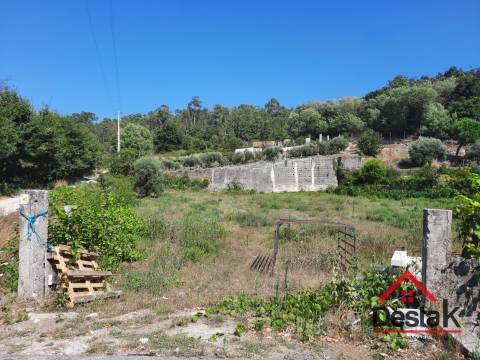 Terreno em São Miguel do Mato
